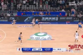 九游娱乐平台_山东高速CBA击败新疆广汇高诗岩反击得分的简单介绍