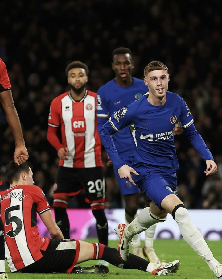 帕尔默切尔西资料